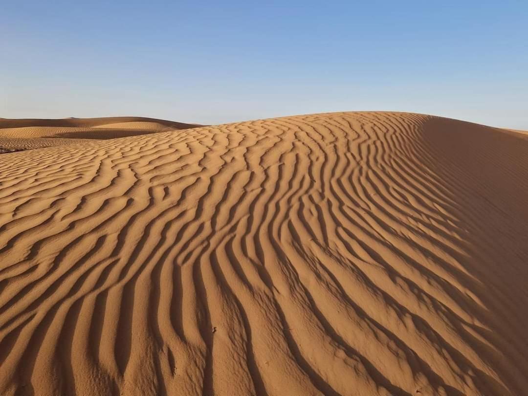 Hotel Bivouac Camel Trips Merzouga Exteriér fotografie