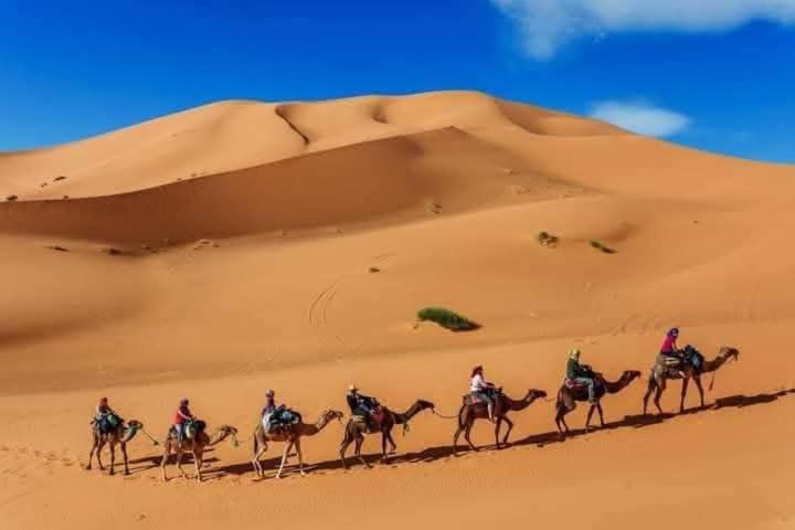 Hotel Bivouac Camel Trips Merzouga Exteriér fotografie