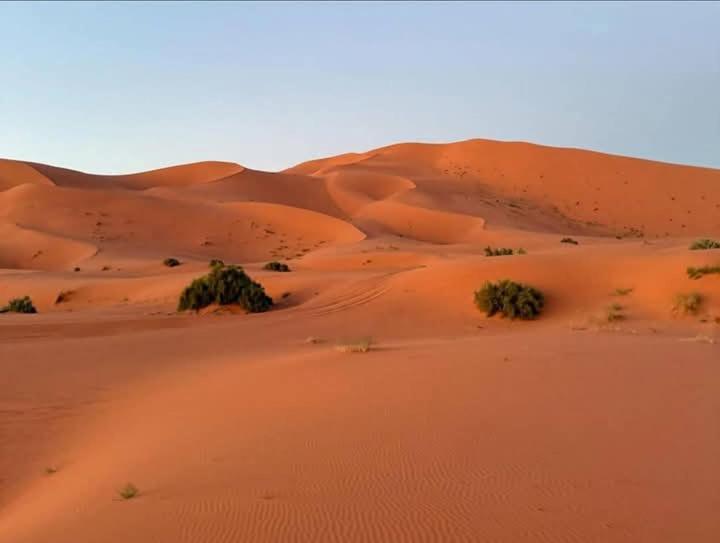 Hotel Bivouac Camel Trips Merzouga Exteriér fotografie