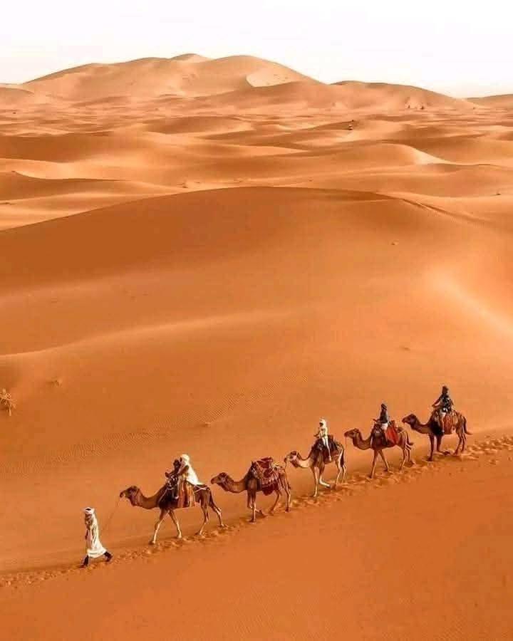 Hotel Bivouac Camel Trips Merzouga Exteriér fotografie