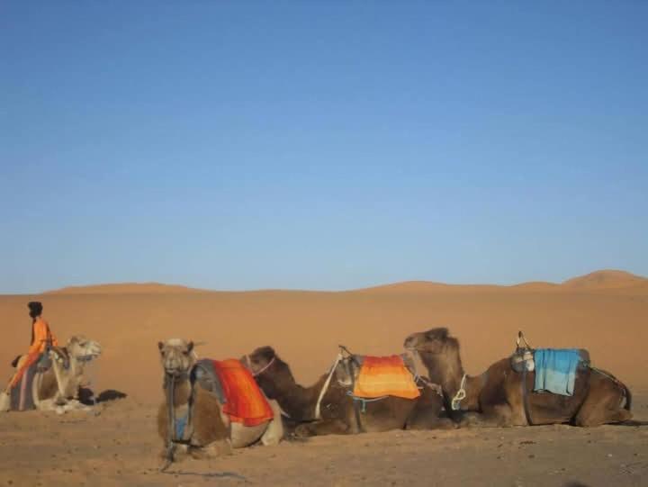 Hotel Bivouac Camel Trips Merzouga Exteriér fotografie
