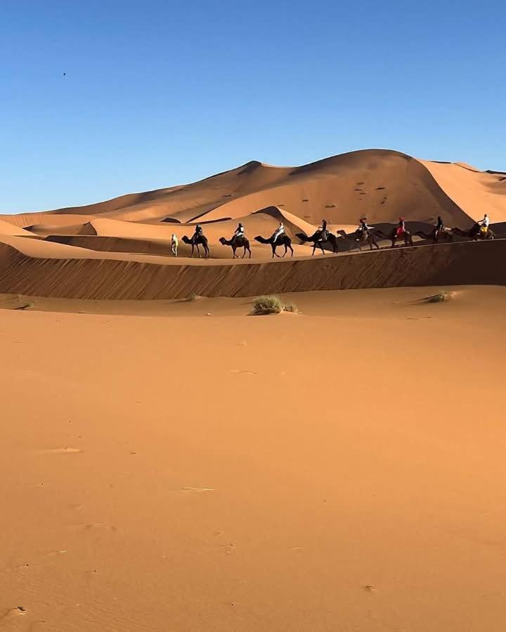 Hotel Bivouac Camel Trips Merzouga Exteriér fotografie